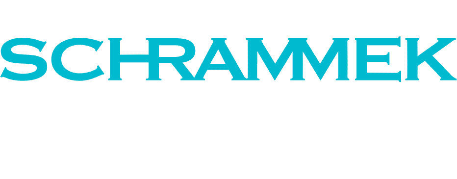 DS Logo